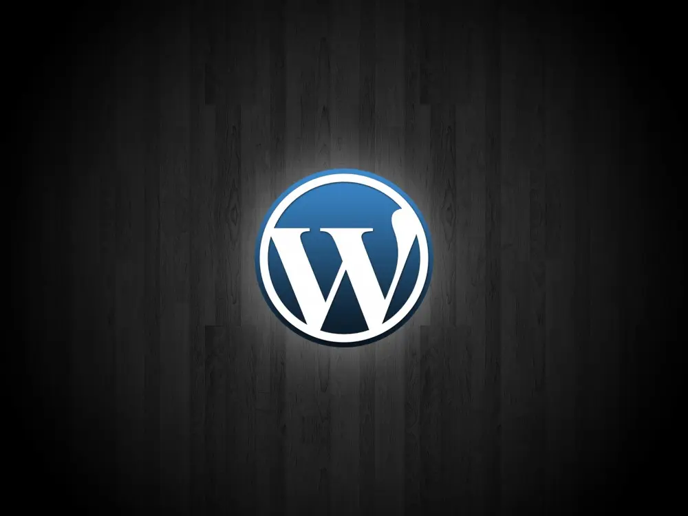 Slow WordPress site: why it loads slowly | White Eagles & Co.